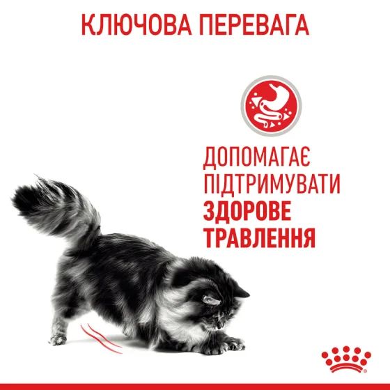 Вологий корм Royal Canin Digest Sensitive при чутливому травленні у кішок, шматочки в соусі, 85 г | Зображення 1