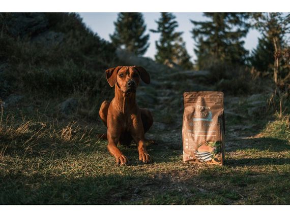 Fitmin dog Purity GF Adult & Junior Fish Menu, 2 кг | Зображення 4