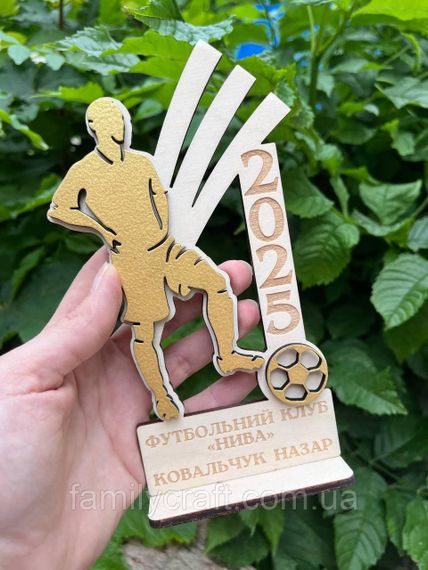 Іменний дерев’яний кубок-нагорода з гравіюванням за досягнення або активність | Зображення 4