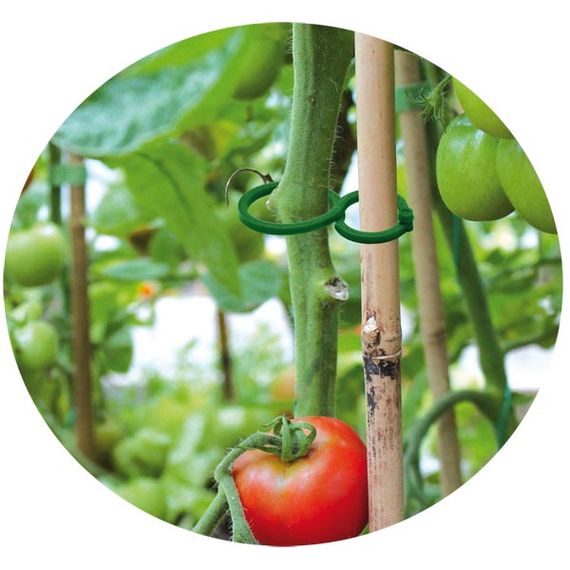 Затискачі Bradas для кріплення рослин 2 розміри 40 шт TYK29 | Зображення 1