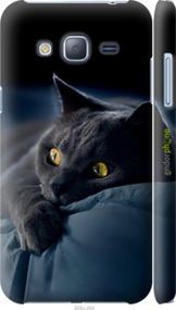 Чохол на Samsung Galaxy J3 Duos (2016) J320H Димчастий кіт "825m-265-2448"