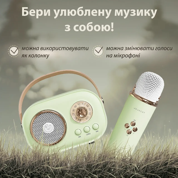 Колонка портативна з мікрофоном C-20 BT/TF/USB/FM 5 Вт Зелений C20GR | Зображення 2