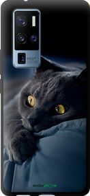 Чохол на Vivo X50 Pro Plus Димчастий кіт "825b-2056-2448"
