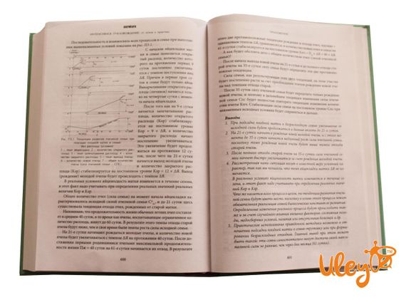 Книга "Інтенсивне пчеловождение: від основ до практики" Валерій Корж | Зображення 3