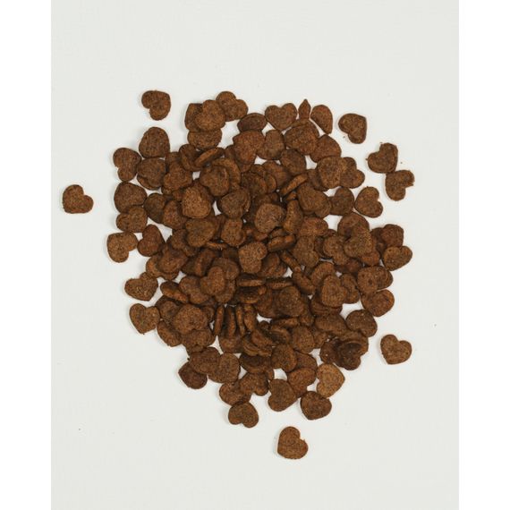 Хрусткі ласощі Savory для здоров’я шкіри та шерсті, лосось і малина | Зображення 1