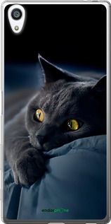 Чохол на Sony Xperia Z5 Premium E6883 Димчастий кіт "825t-345-2448"