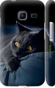 Чохол на Samsung Galaxy J1 Mini J105H Димчастий кіт "825m-258-2448"