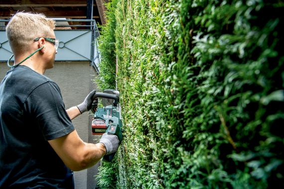 Кущоріз акумуляторний Metabo HS 18 LTX BL 65см 18V каркас 601723850 | Зображення 2