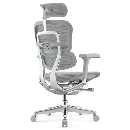 Кресло компьютерное ERGOHUMAN ELITE 2 (EHE2-AG-HAM-5D-L) сетка T-168-B2 | Зображення 7
