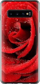 Чехол на Samsung Galaxy S10 Красная роза "529u-1640-17620"