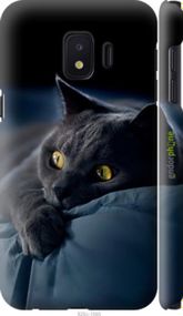 Чохол на Samsung Galaxy J2 Core Димчастий кіт "825m-1565-2448"