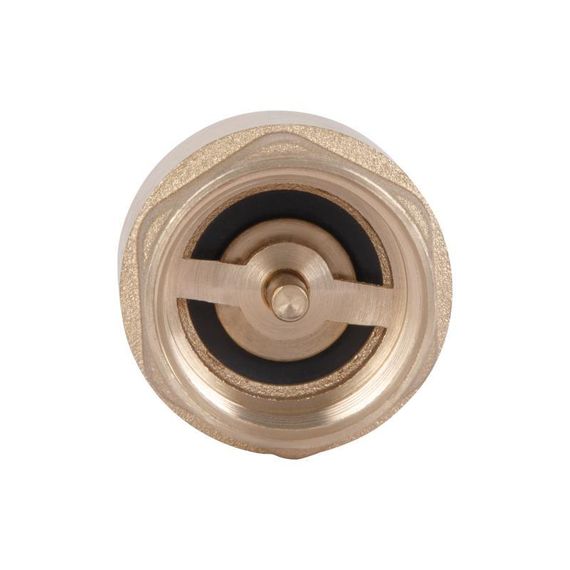 Обратний клапан Thermo Alliance Base 3/4"ВВ Slim с латунным штоком TAB240W20S | Зображення 4