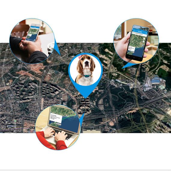 Трекер GPS для тварин V43 Pet Tracker SIM (4GLTE+3GWCDMA+2GGSM) 500mAh Black Технічка, white | Зображення 6