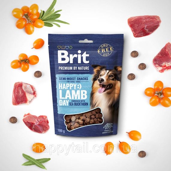 Ласощі Brit Premium (Бріт Преміум) Semi-moist Snacks для собак, напіввологі з ягням та обліпихою, 180 г | Зображення 1