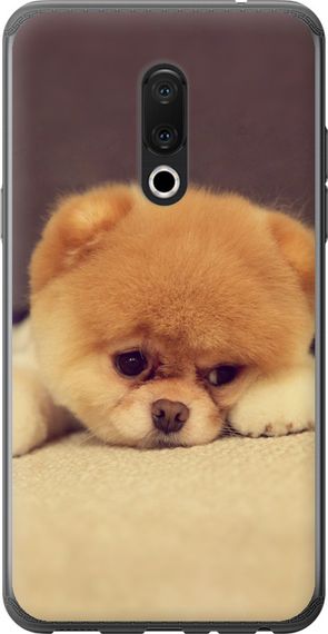 Чехол на Meizu 15 Plus Boo 2 "890u-1473-17620"