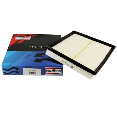 Воздушный фильтр для автомобиля Champion CAF100689P | Зображення 2