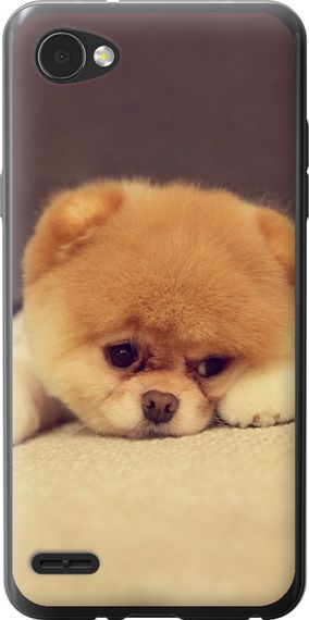 Чехол на LG Q6 Boo 2 "890u-1094-17620"