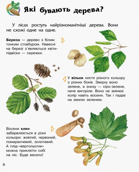 Детская энциклопедия про лес 614016 для дошкольников | Зображення 2