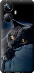 Чохол на Realme 10 Pro Plus Димчастий кіт "825b-2944-2448"
