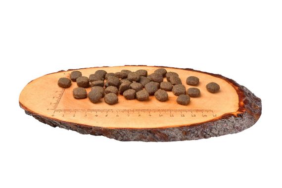 Сухий корм з ягнятком та диким кабаном для собак Carnilove Dog Adult Lamb & Wild Boar, 12 + 2 кг | Зображення 1