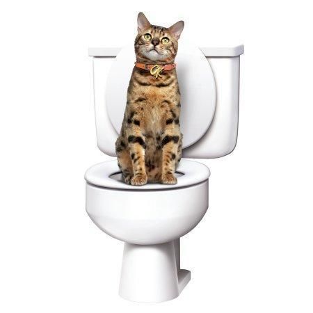 Система приучения кошек к унитазу Туалет для кота Citi Kitty Cat Toilet Training | Зображення 2