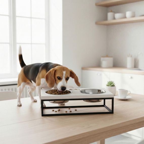 Миски на подставке для средних собак и больших котов Hollky Base M (2 × 0,95 л) BM-422110-BLWH | Зображення 1