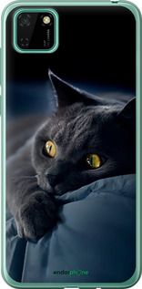 Чохол на Huawei Y5p Димчастий кіт "825t-1936-2448"