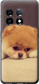 Чехол на OnePlus 11 Boo 2 "890u-2940-17620"