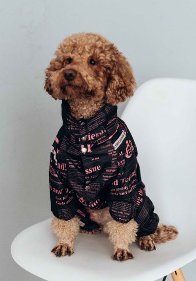 Дощовик із прихованим капюшоном газета рожевий M-97 | Зображення 1