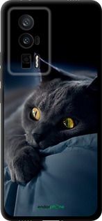 Чохол на Xiaomi Redmi K60 Димчастий кіт "825b-2973-2448"