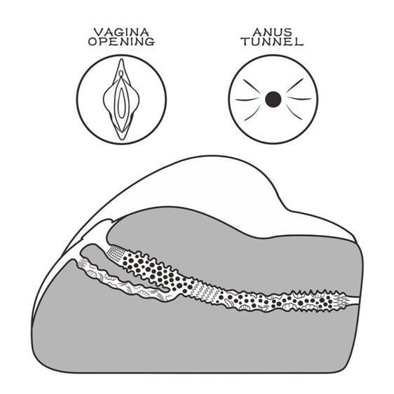 Мастурбатор - Streetgirl's #3 Flesh Sex Aura | Зображення 3