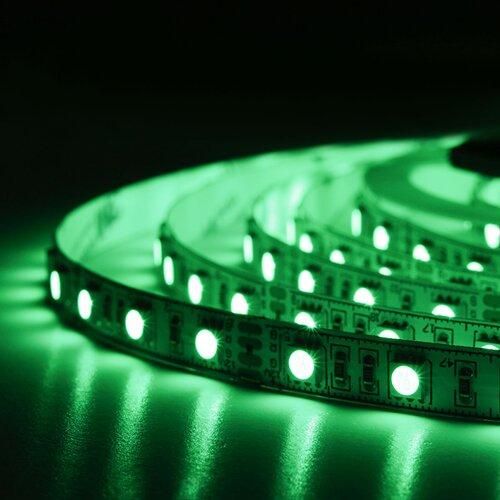 Светодиодная лента BIOM Professional BPS-G3-12-5050-60-RGB-20, негерметичная, 1м | Зображення 4