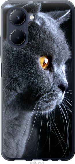 Чехол на Realme C33 Красивый кот "3038u-2870-17620"