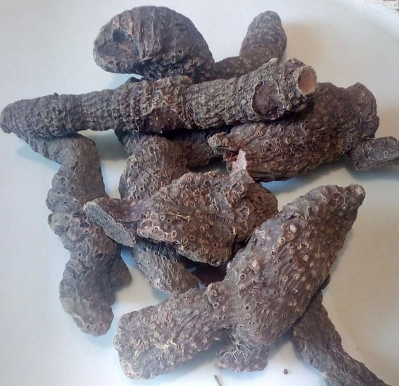 Ірис блідний / Ірис  (коріння ціле), 100г.
