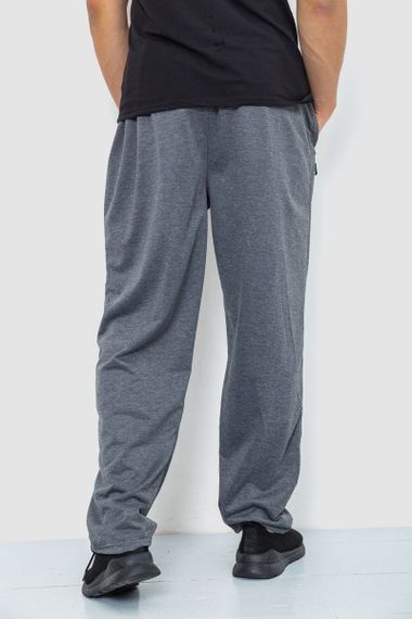 Спорт чоловічі штани, колір сірий, 244R41392 | Зображення 3