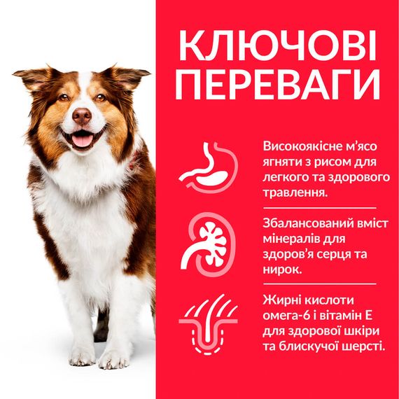 Hill’s Science Plan Mature Adult 7+ Medium Breed Сухий корм для зрілих собак середніх порід від 7 років, з ягням і рисом, 2,5 кг | Зображення 1