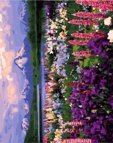 Долина польових квітів