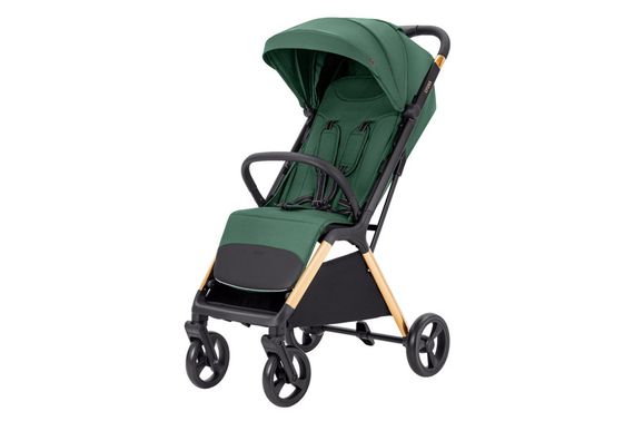 Коляска прогулянкова CRL-5523 "Cross" Parrot Green CARRELLO | Зображення 2