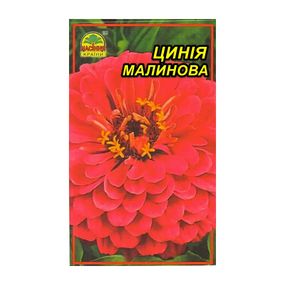 Насіння Цинія малинова 0,5 г (Насіння країни)