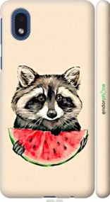 Чохол на Samsung Galaxy A01 Core A013F Єнотик з кавуном "4605m-2065-2448"