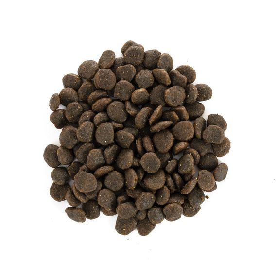 Корм сухий Brit Care Grain Free Mini Yorkshire для йоркширських тер’єрів з лососем та тунцем 400 г | Зображення 1