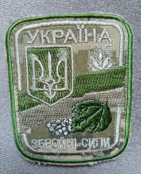 Шеврон Вооруженные силы Украины №19
