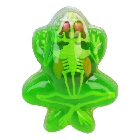 Дитячий лабораторнний набір Жаба 801B, скелет, внутрішні органи | Зображення 1