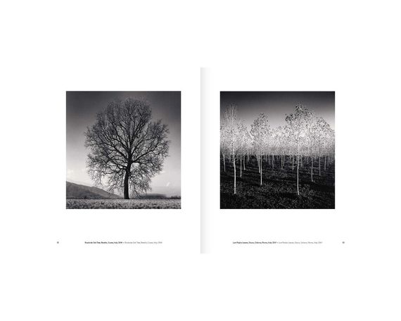 Книга Michael Kenna: Trees / Arbres (Signed) | Зображення 9