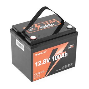 Акумуляторна батарея YEAGULCH Mini Max LiFePO4 12,8V 100Ah 1280Wh, BMS-100A, ( 299 x 193 x 200) , M8, 12.9kg Q1