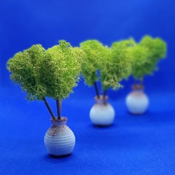 Стабилизированный мох ягель Nordic moss Зеленый светлый 1 кг | Зображення 1