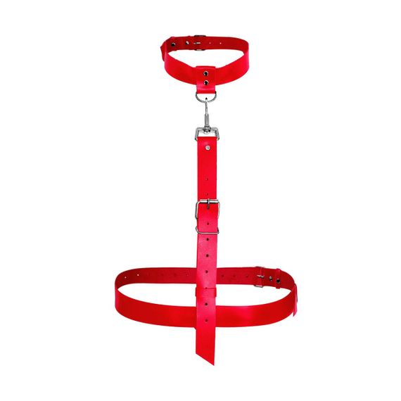 Сексуальна портупея із натуральної шкіри Art of Sex - Heidi, розмір XS-2XL, колір червоний sexstyle | Зображення 1