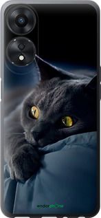 Чохол на Oppo A58 5G Димчастий кіт "825u-2950-2448"