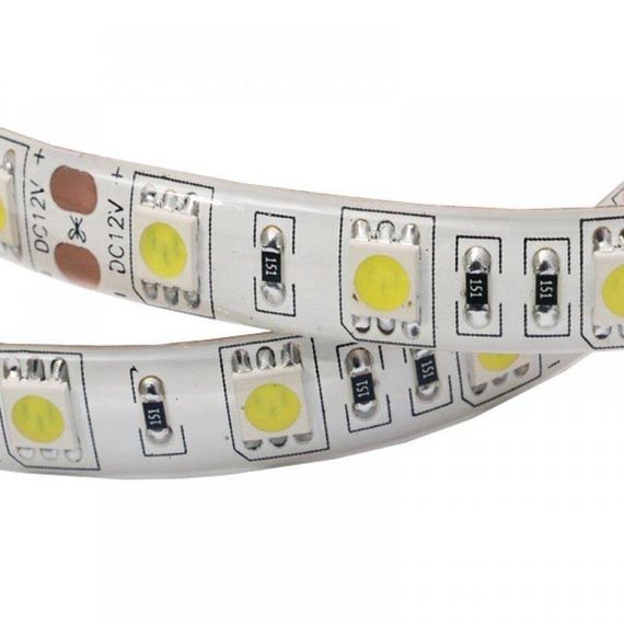 Світлодіодна LED стрічка PROLUM™ 12V 5050\60 IP65 Series "SG" Білий (5500-6000К) | Зображення 2