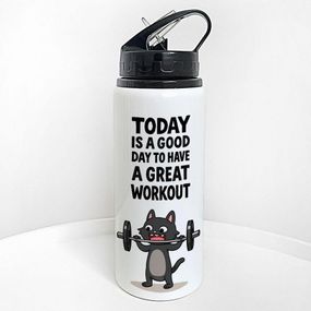 Пляшка для води з трубочкою Today is a good day to have a great workout 600 мл (PLV_25A043)
